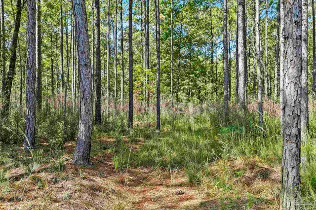 $2,925,209 | 0 Nokomis Road, Walnut Hill, FL 32568