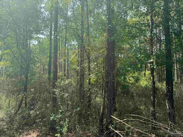 $2,925,209 | 0 Nokomis Road, Walnut Hill, FL 32568