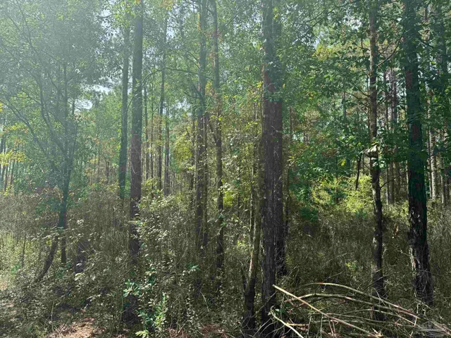 $2,925,209 | 0 Nokomis Road, Walnut Hill, FL 32568