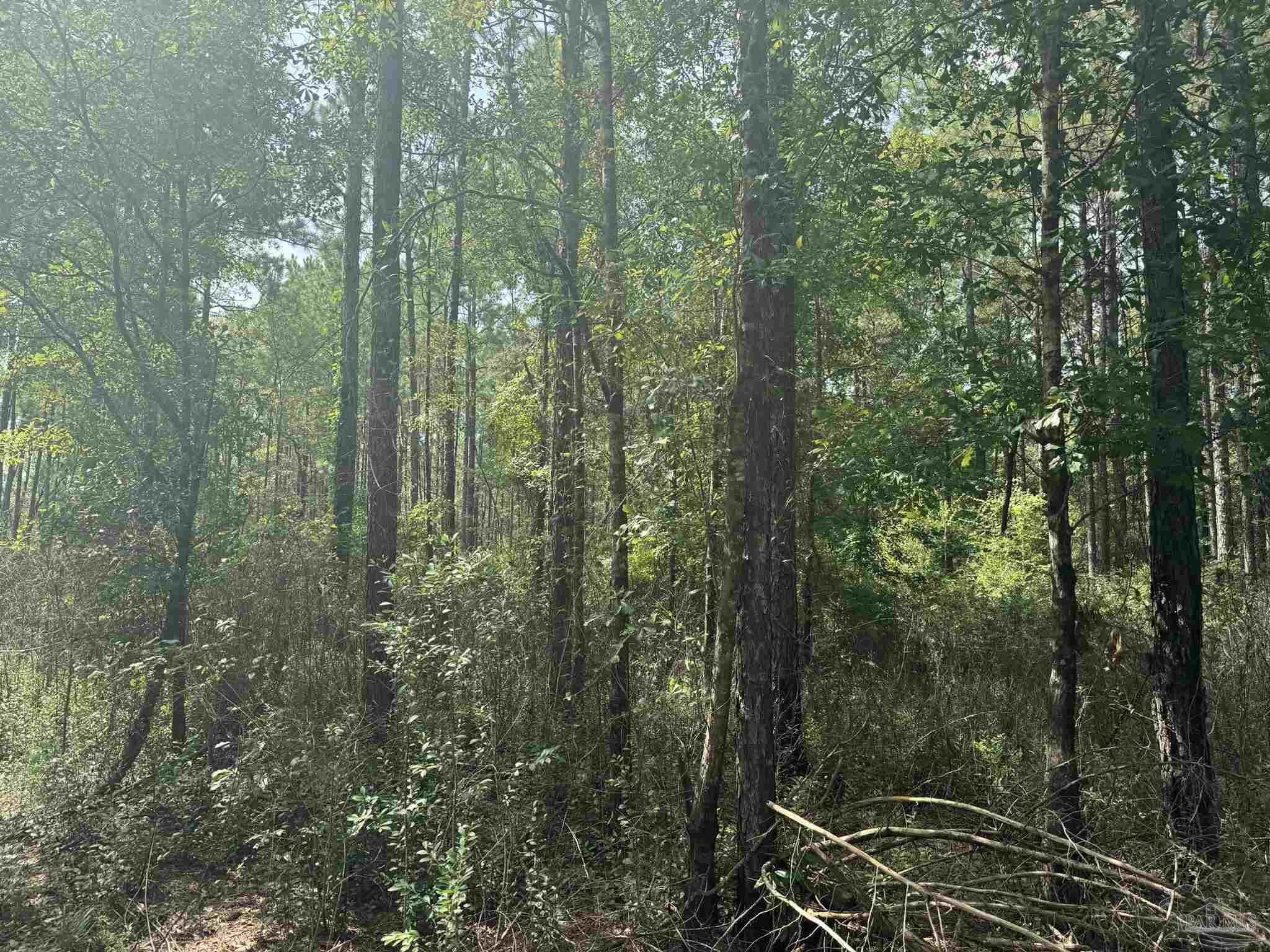 0 Nokomis Road Walnut Hill, FL 32568 - Photo 25 of 51