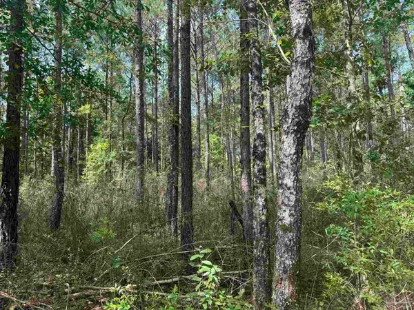 $2,925,209 | 0 Nokomis Road, Walnut Hill, FL 32568