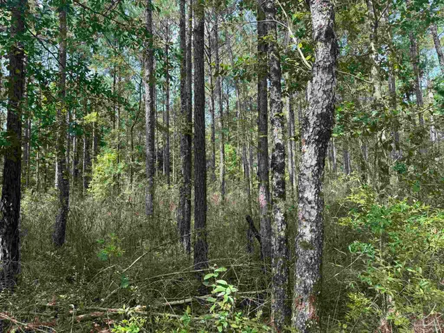 $2,925,209 | 0 Nokomis Road, Walnut Hill, FL 32568