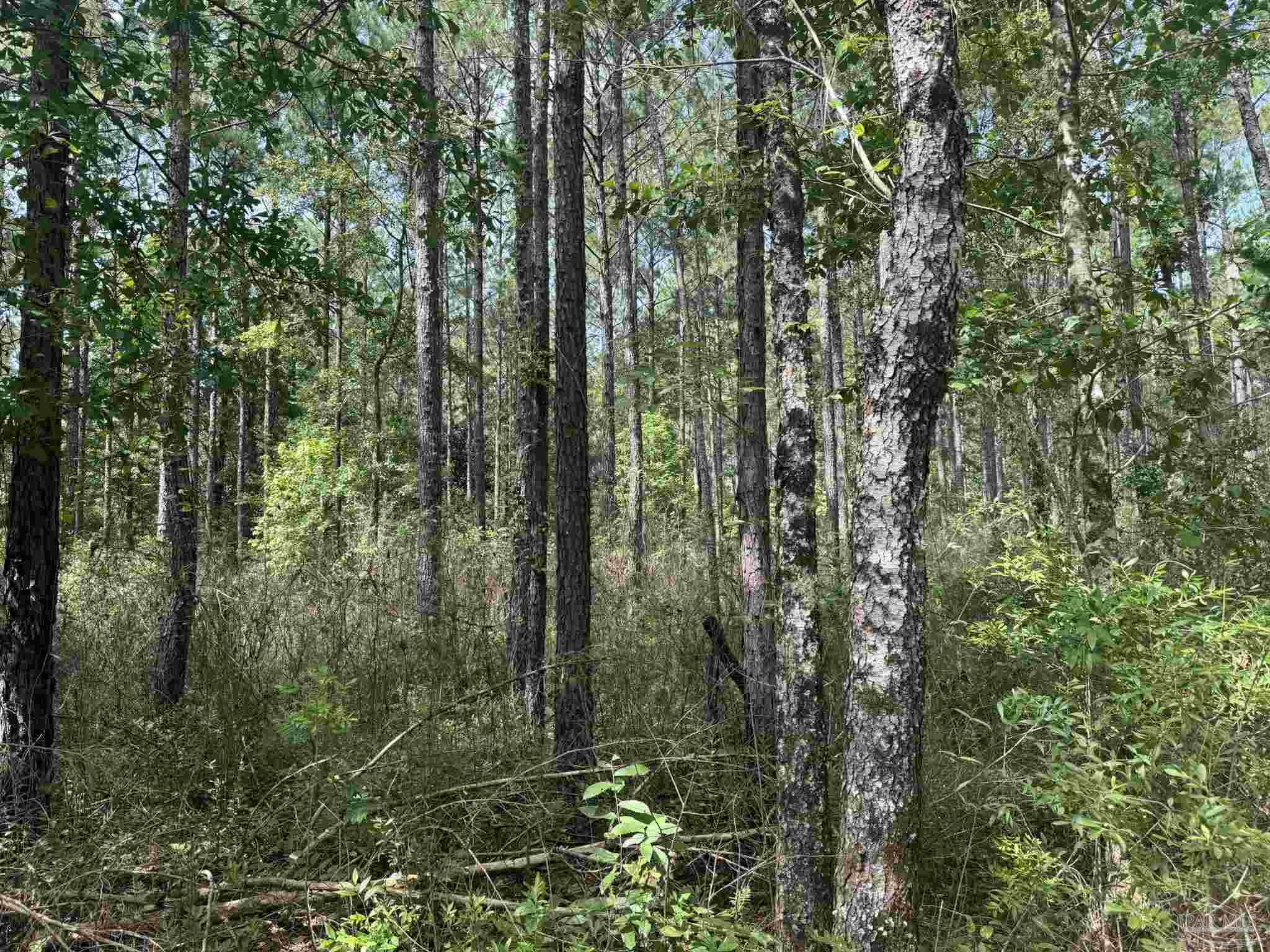 0 Nokomis Road Walnut Hill, FL 32568 - Photo 26 of 51