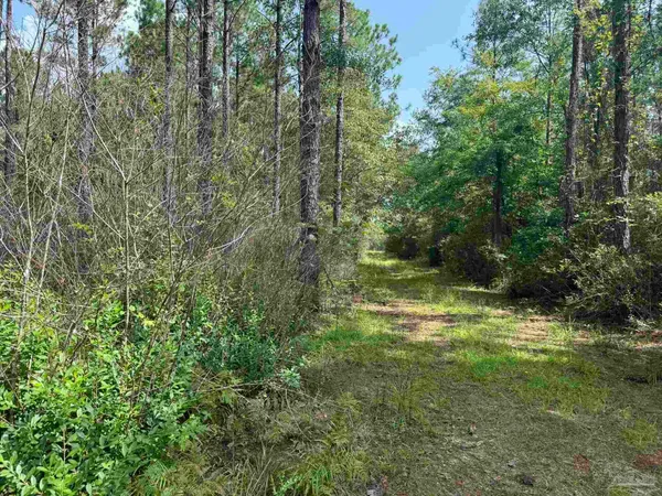 $2,925,209 | 0 Nokomis Road, Walnut Hill, FL 32568