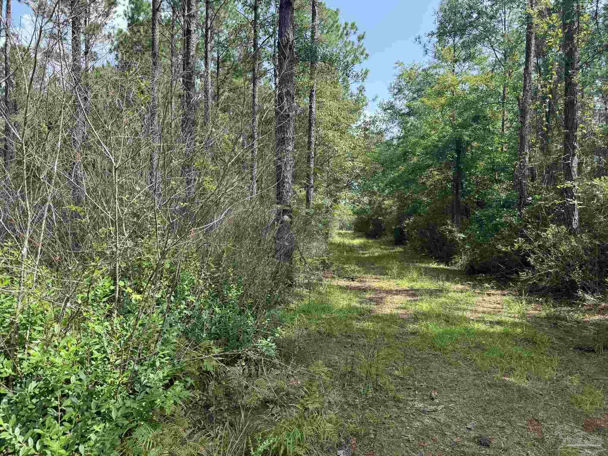 0 Nokomis Road Walnut Hill, FL 32568 - Photo 27 of 51