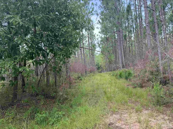 $2,925,209 | 0 Nokomis Road, Walnut Hill, FL 32568