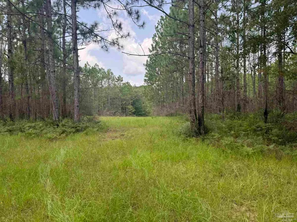 $2,925,209 | 0 Nokomis Road, Walnut Hill, FL 32568