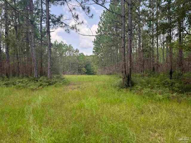 $2,925,209 | 0 Nokomis Road, Walnut Hill, FL 32568