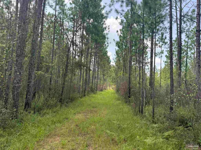 $2,925,209 | 0 Nokomis Road, Walnut Hill, FL 32568