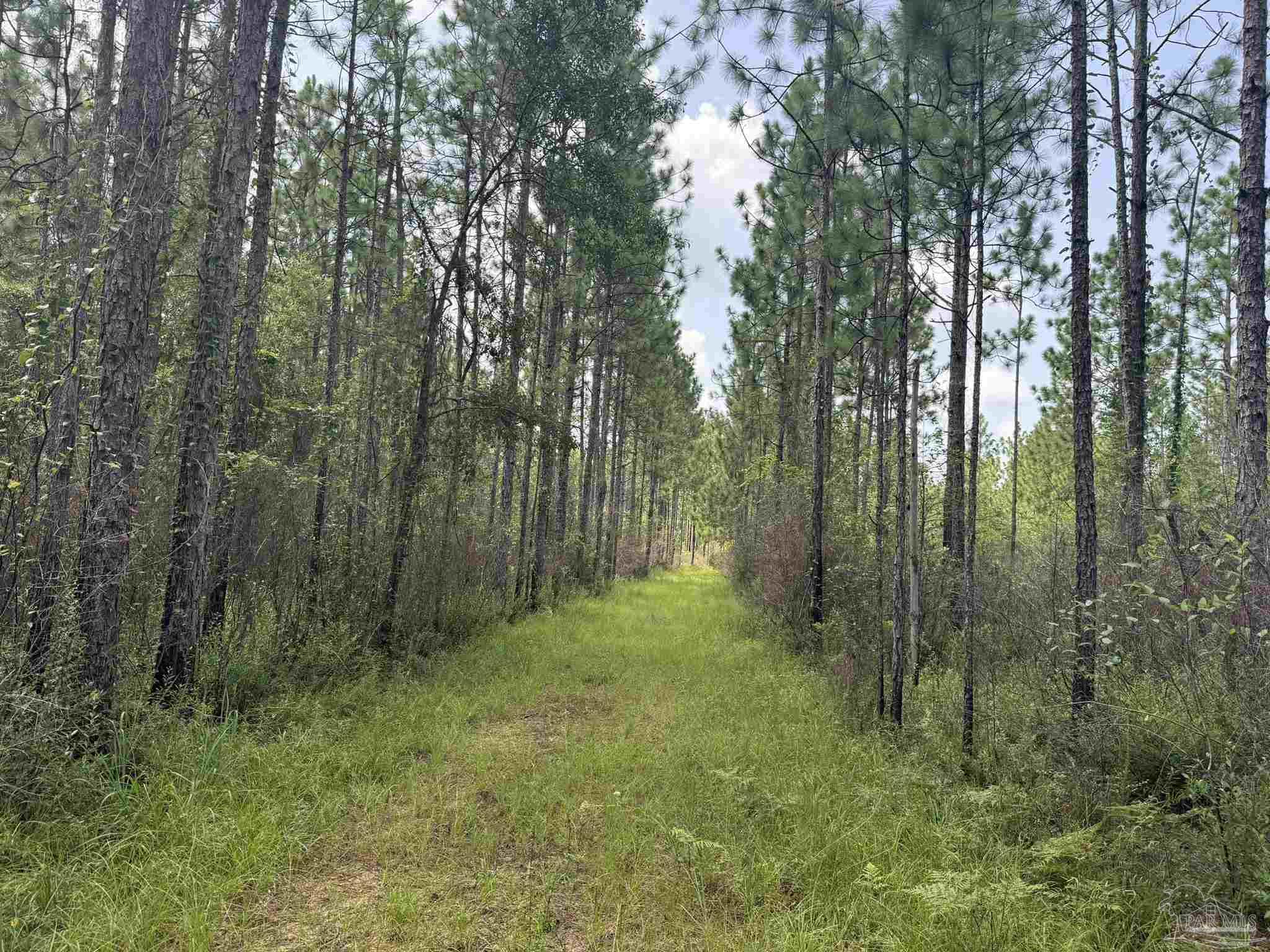 0 Nokomis Road Walnut Hill, FL 32568 - Photo 31 of 51