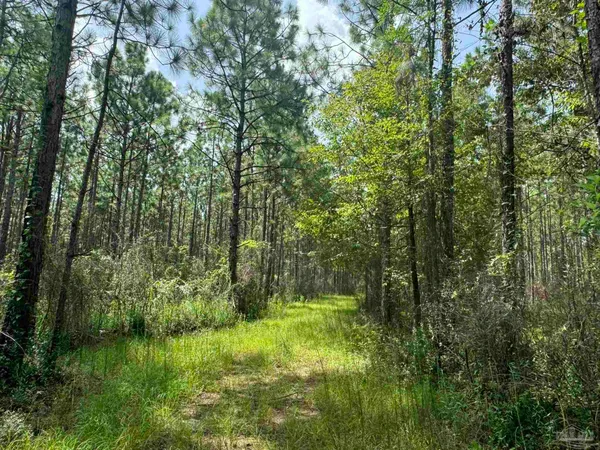 $2,925,209 | 0 Nokomis Road, Walnut Hill, FL 32568