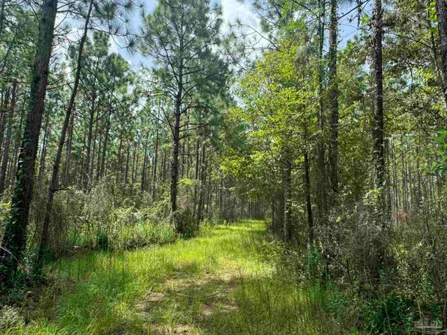 $2,925,209 | 0 Nokomis Road, Walnut Hill, FL 32568