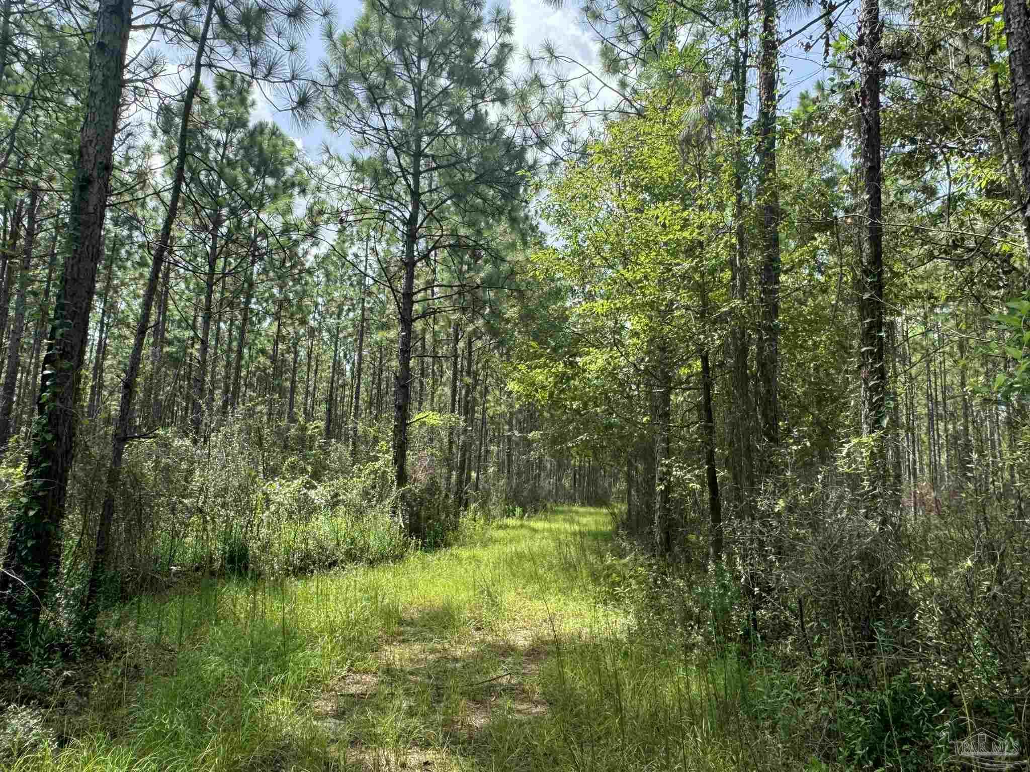 0 Nokomis Road Walnut Hill, FL 32568 - Photo 32 of 51