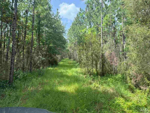 $2,925,209 | 0 Nokomis Road, Walnut Hill, FL 32568