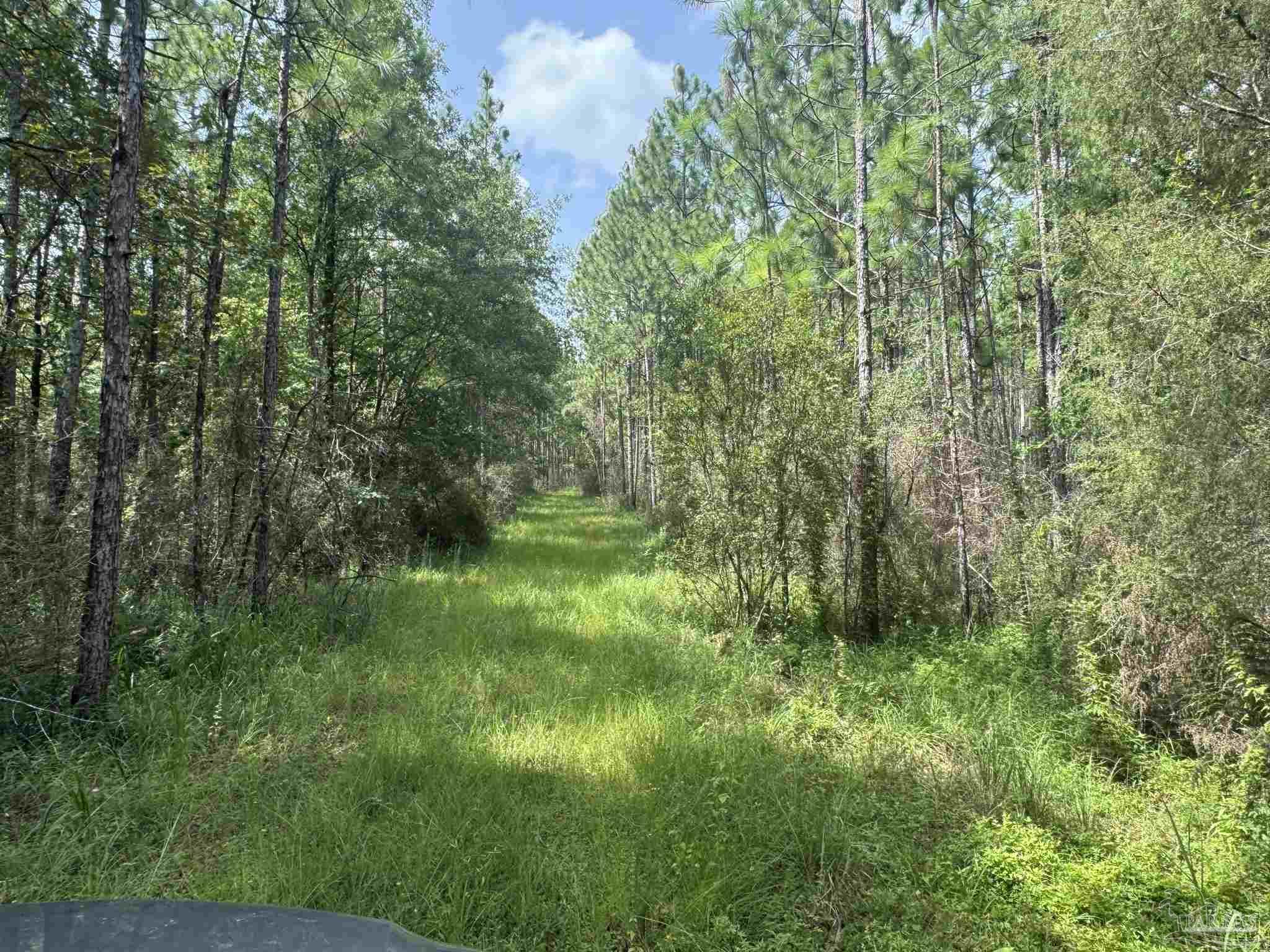 0 Nokomis Road Walnut Hill, FL 32568 - Photo 33 of 51