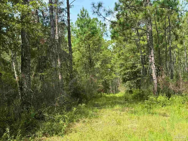 $2,925,209 | 0 Nokomis Road, Walnut Hill, FL 32568