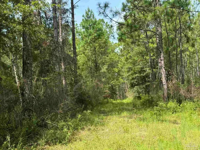 $2,925,209 | 0 Nokomis Road, Walnut Hill, FL 32568