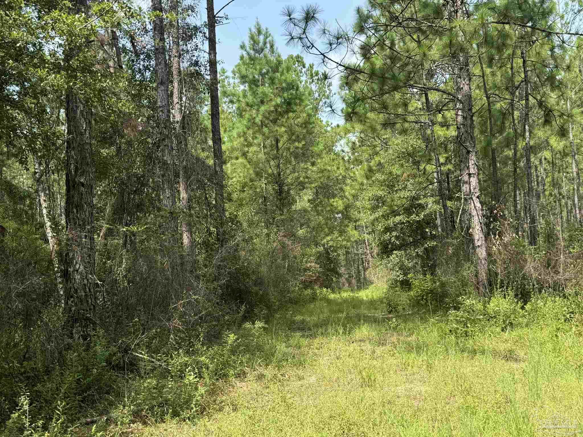 0 Nokomis Road Walnut Hill, FL 32568 - Photo 35 of 51