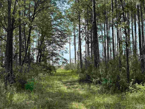 $2,925,209 | 0 Nokomis Road, Walnut Hill, FL 32568