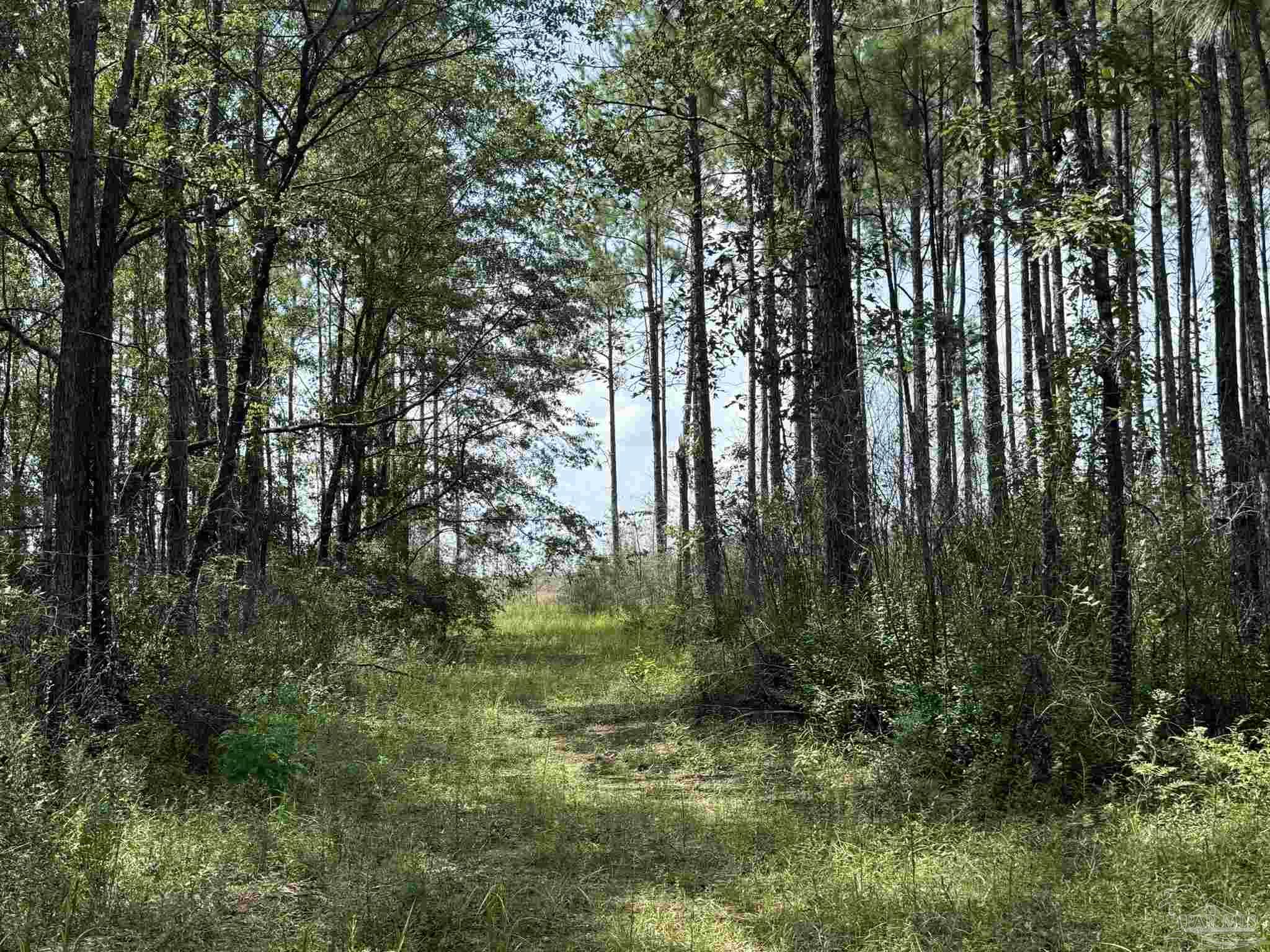 0 Nokomis Road Walnut Hill, FL 32568 - Photo 36 of 51