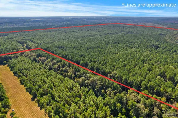 $2,925,209 | 0 Nokomis Road, Walnut Hill, FL 32568