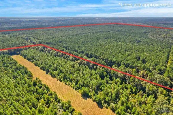 $2,925,209 | 0 Nokomis Road, Walnut Hill, FL 32568