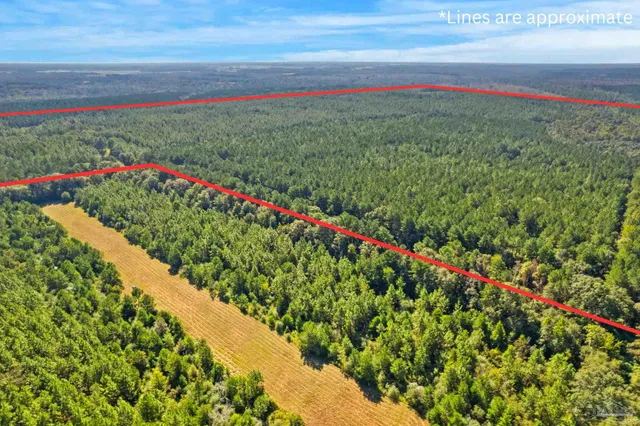 $2,925,209 | 0 Nokomis Road, Walnut Hill, FL 32568