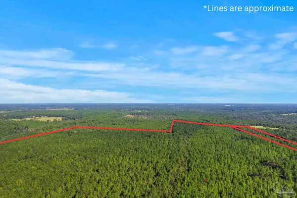 $2,925,209 | 0 Nokomis Road, Walnut Hill, FL 32568