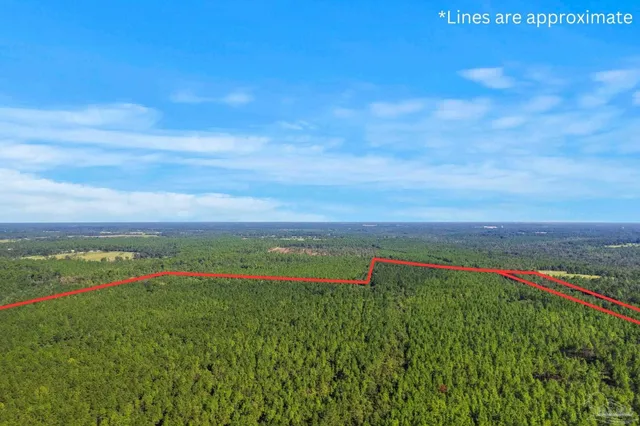 $2,925,209 | 0 Nokomis Road, Walnut Hill, FL 32568