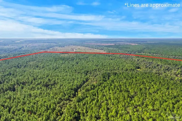 $2,925,209 | 0 Nokomis Road, Walnut Hill, FL 32568