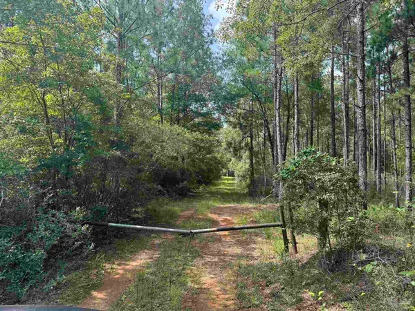 $2,925,209 | 0 Nokomis Road, Walnut Hill, FL 32568