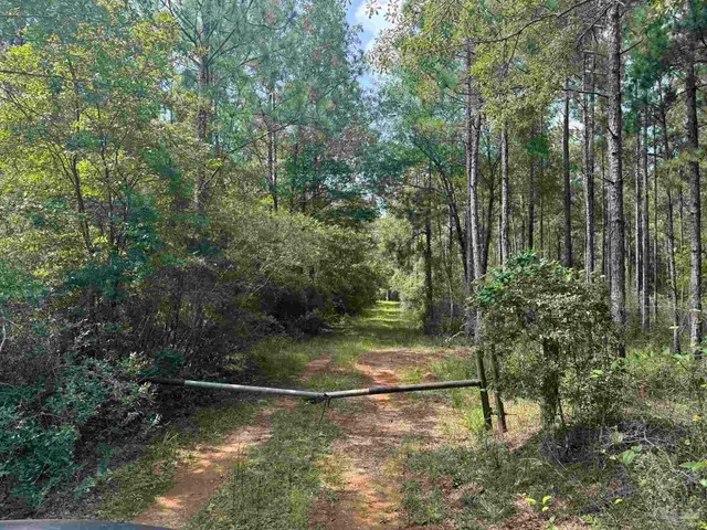 $2,925,209 | 0 Nokomis Road, Walnut Hill, FL 32568