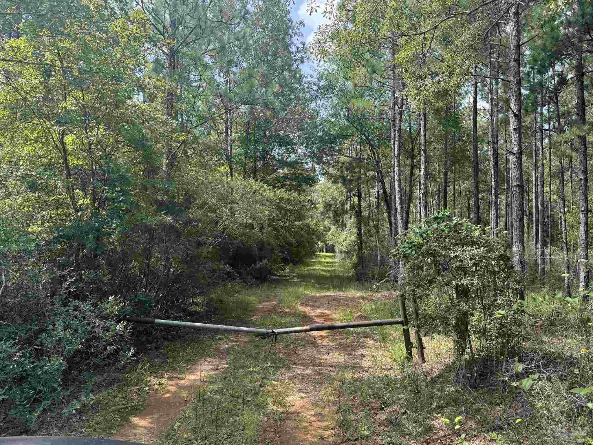 0 Nokomis Road Walnut Hill, FL 32568 - Photo 4 of 51