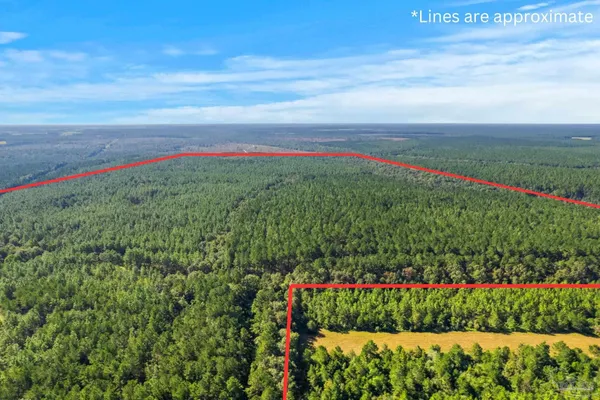 $2,925,209 | 0 Nokomis Road, Walnut Hill, FL 32568