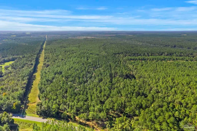 $2,925,209 | 0 Nokomis Road, Walnut Hill, FL 32568