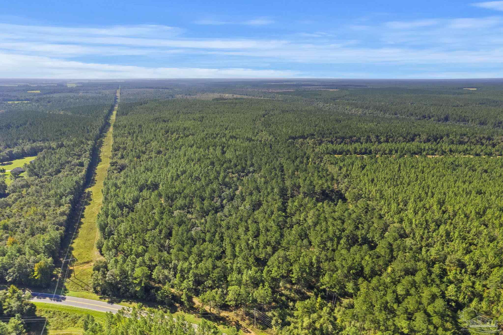 0 Nokomis Road Walnut Hill, FL 32568 - Photo 42 of 51