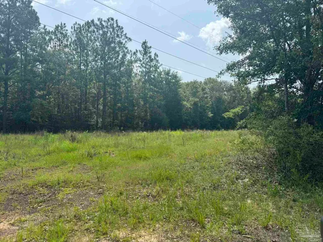 $2,925,209 | 0 Nokomis Road, Walnut Hill, FL 32568