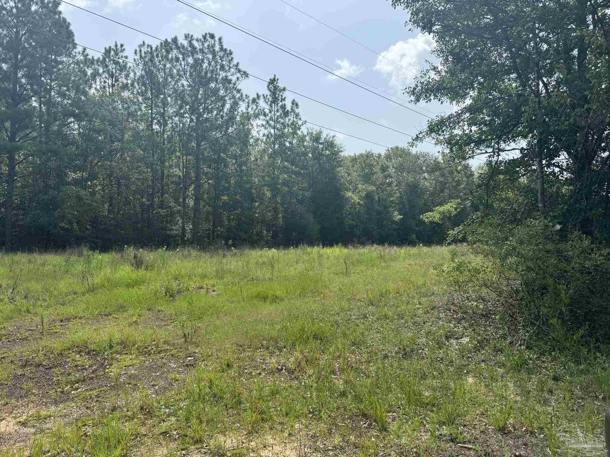 0 Nokomis Road Walnut Hill, FL 32568 - Photo 43 of 51