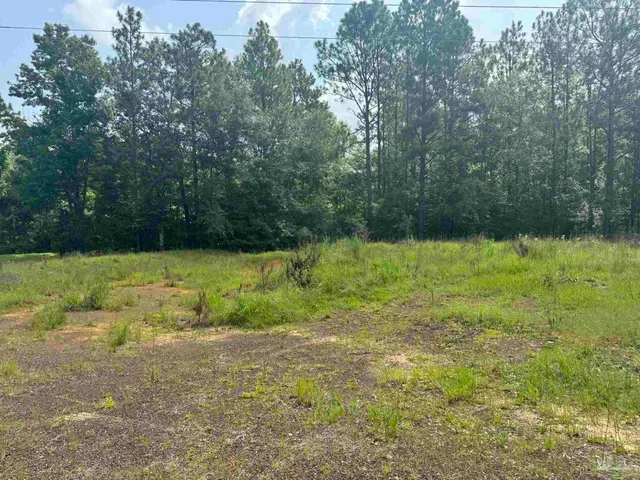 $2,925,209 | 0 Nokomis Road, Walnut Hill, FL 32568