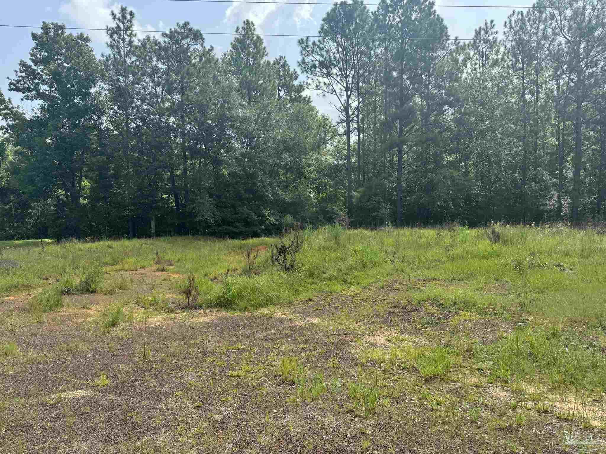 0 Nokomis Road Walnut Hill, FL 32568 - Photo 44 of 51