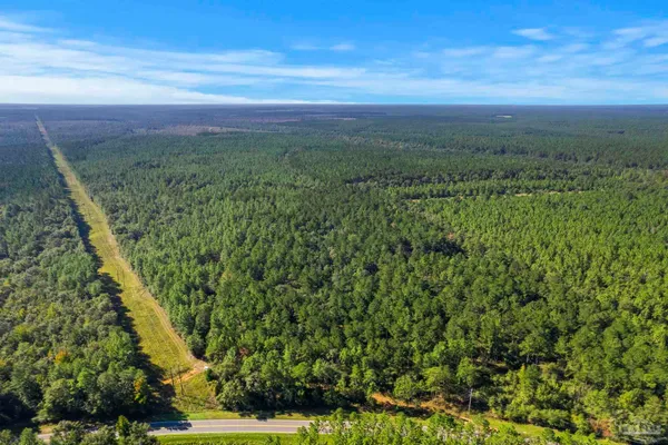 $2,925,209 | 0 Nokomis Road, Walnut Hill, FL 32568