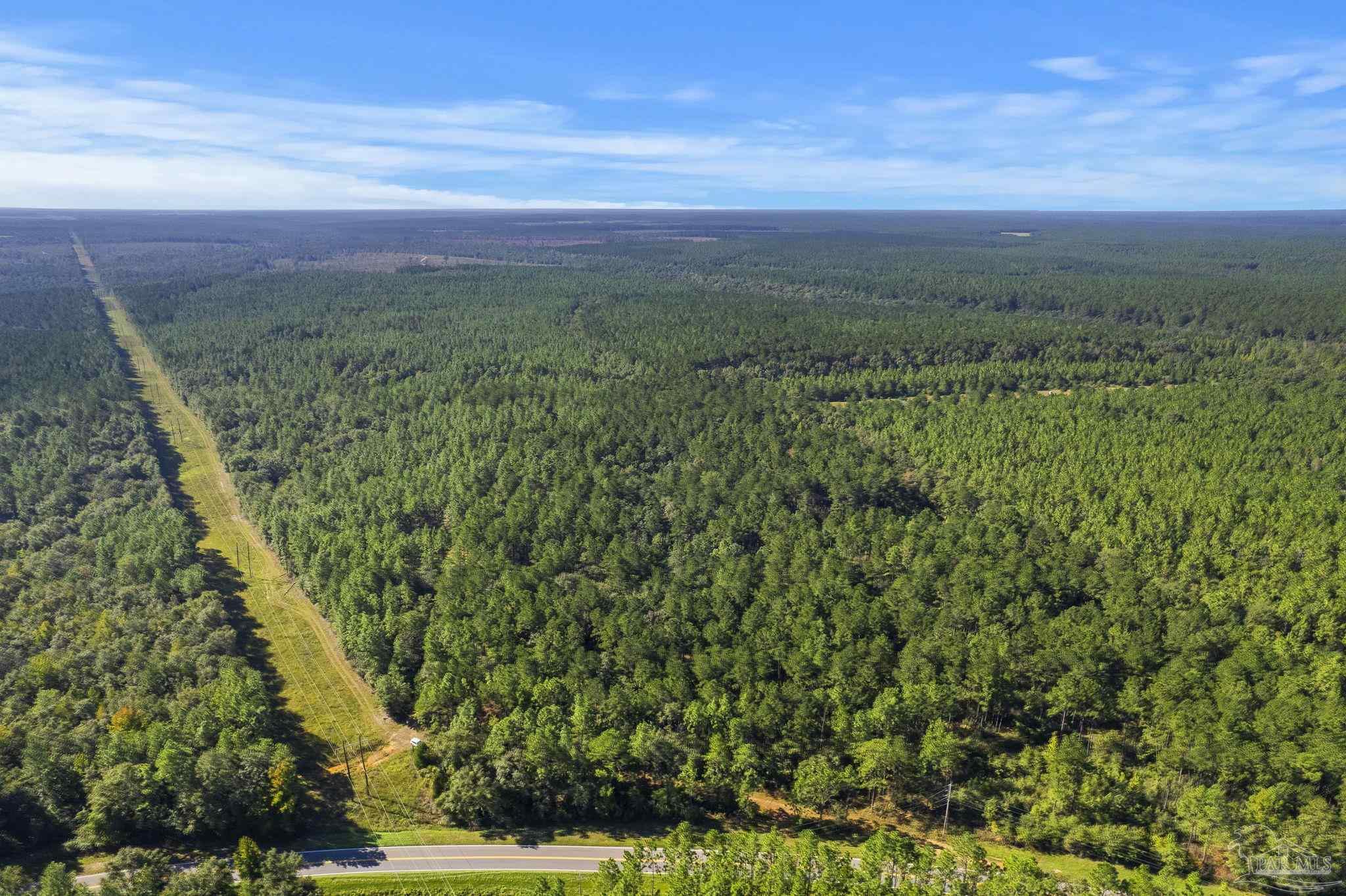 0 Nokomis Road Walnut Hill, FL 32568 - Photo 46 of 51