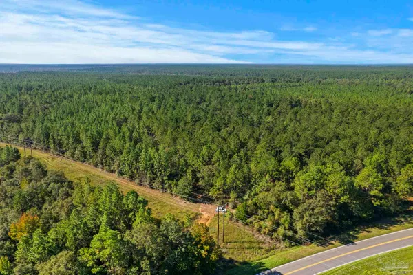 $2,925,209 | 0 Nokomis Road, Walnut Hill, FL 32568