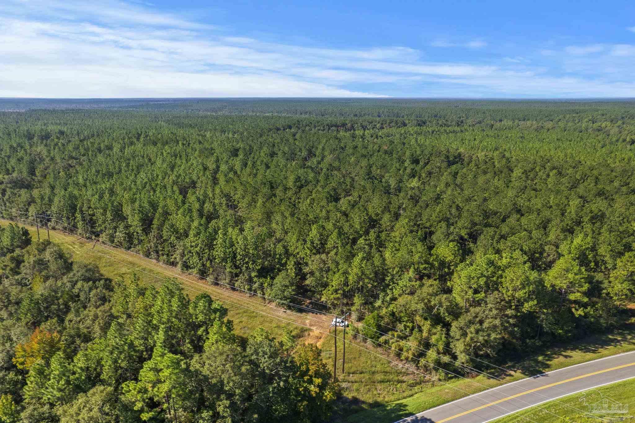 0 Nokomis Road Walnut Hill, FL 32568 - Photo 47 of 51