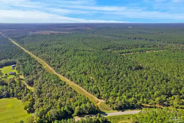 $2,925,209 | 0 Nokomis Road, Walnut Hill, FL 32568