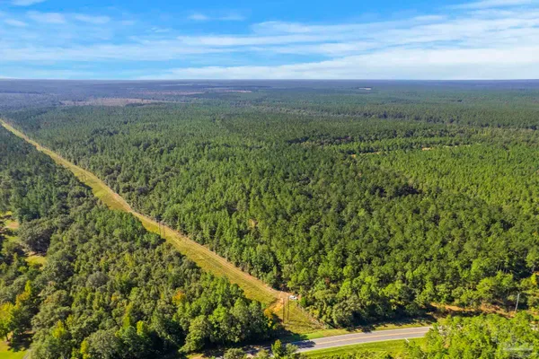 $2,925,209 | 0 Nokomis Road, Walnut Hill, FL 32568