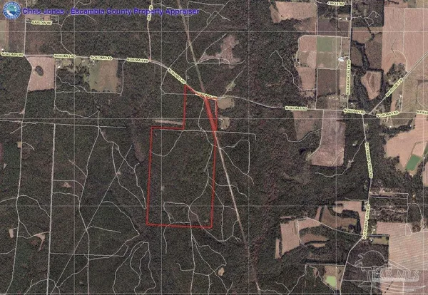 $2,925,209 | 0 Nokomis Road, Walnut Hill, FL 32568