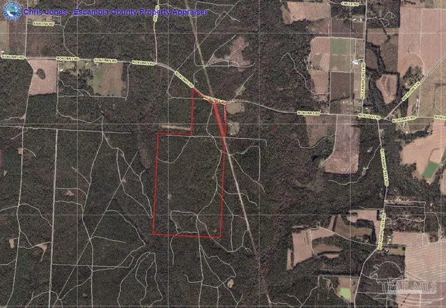 $2,925,209 | 0 Nokomis Road, Walnut Hill, FL 32568