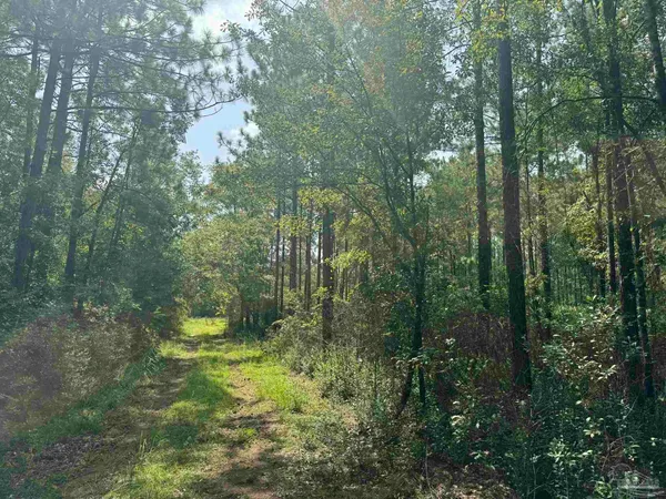 $2,925,209 | 0 Nokomis Road, Walnut Hill, FL 32568