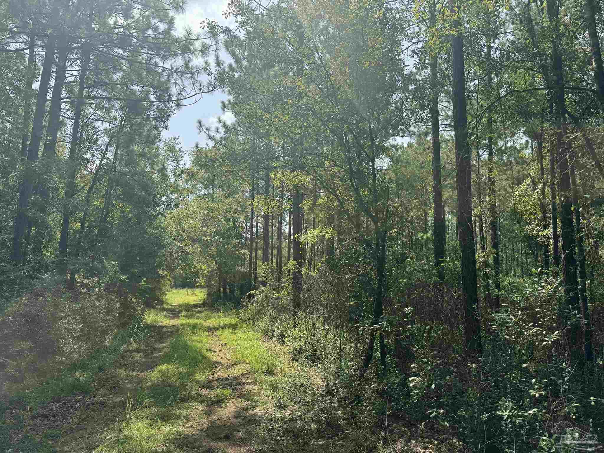 0 Nokomis Road Walnut Hill, FL 32568 - Photo 5 of 51